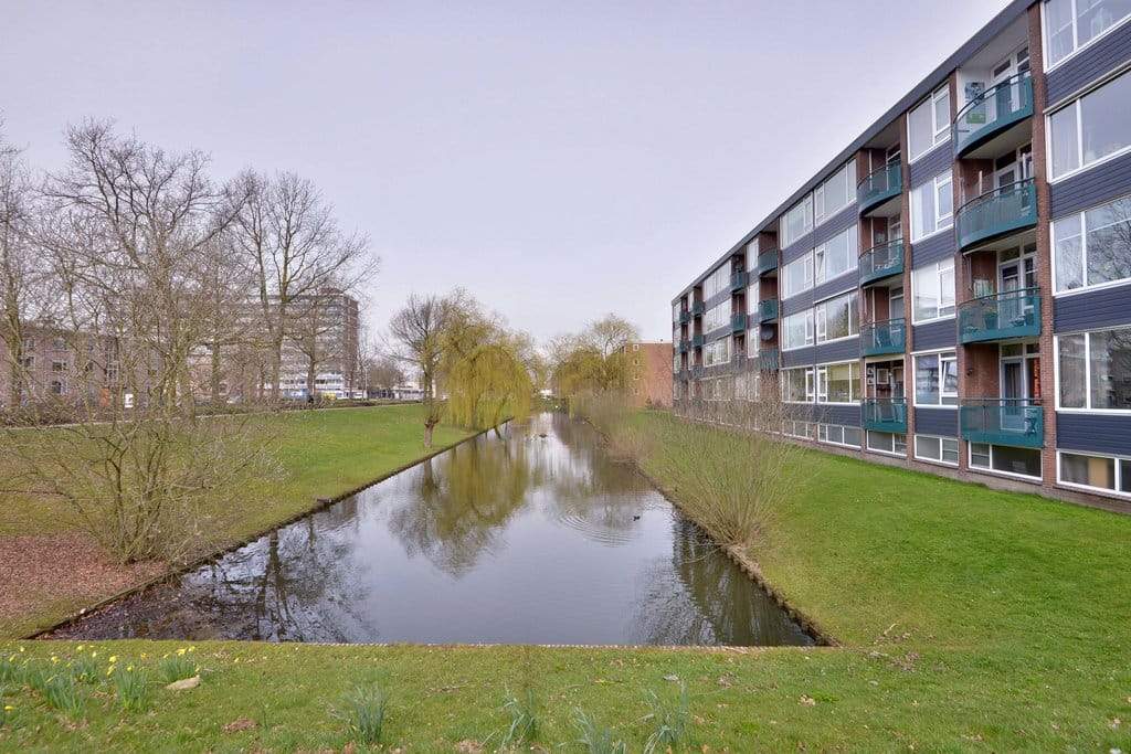 Afbeelding 3 van 12