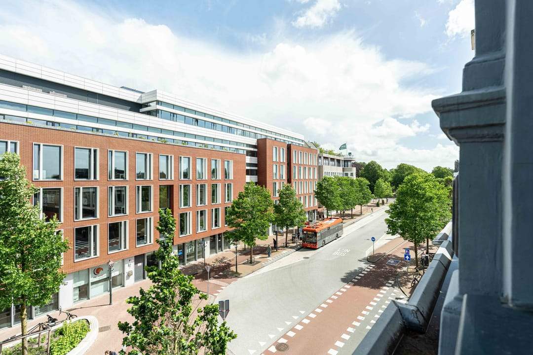 Afbeelding 7 van 42