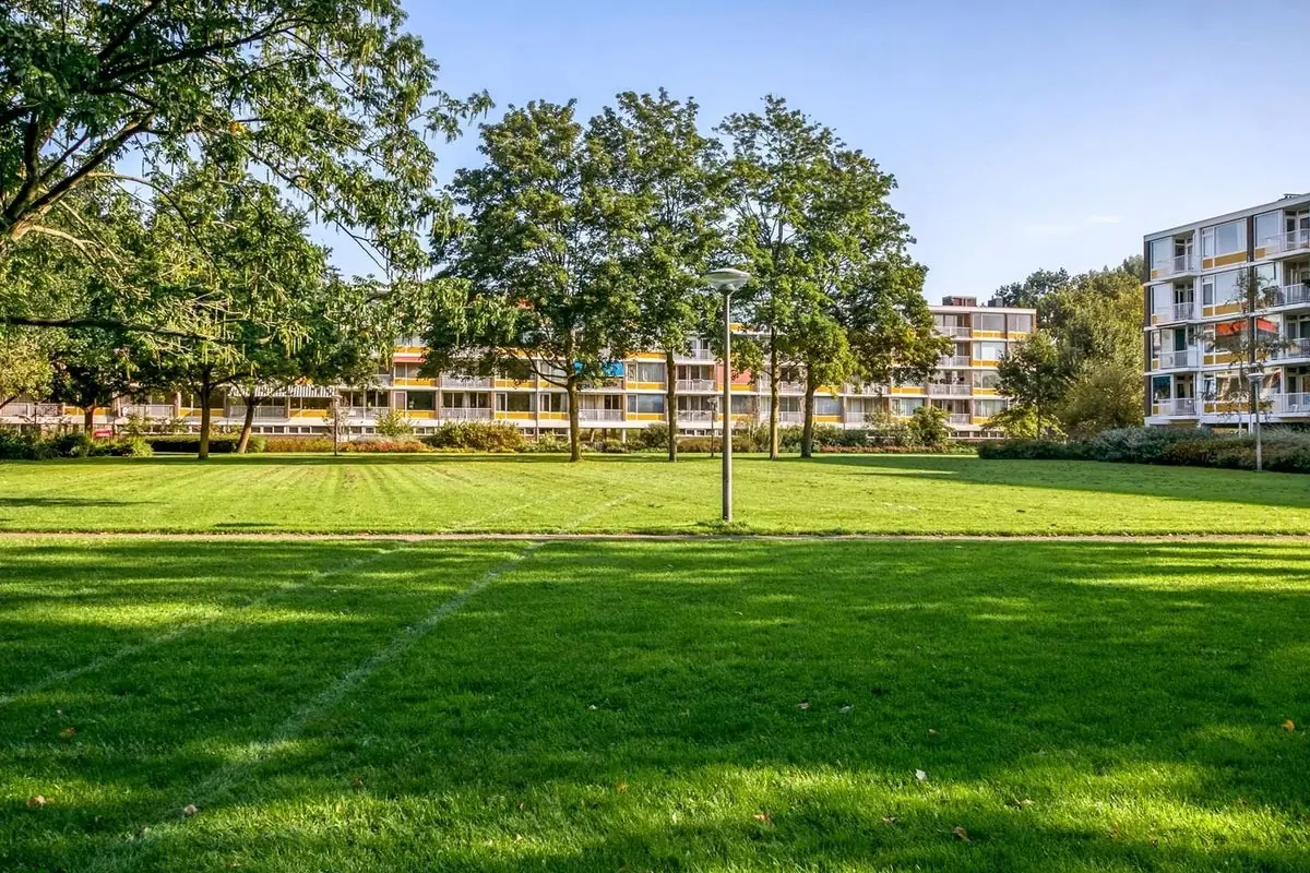 Afbeelding 25 van 28