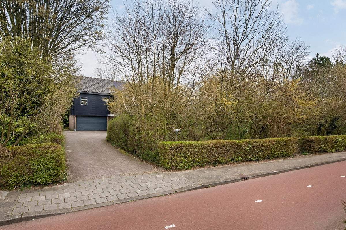 Afbeelding 2 van 20
