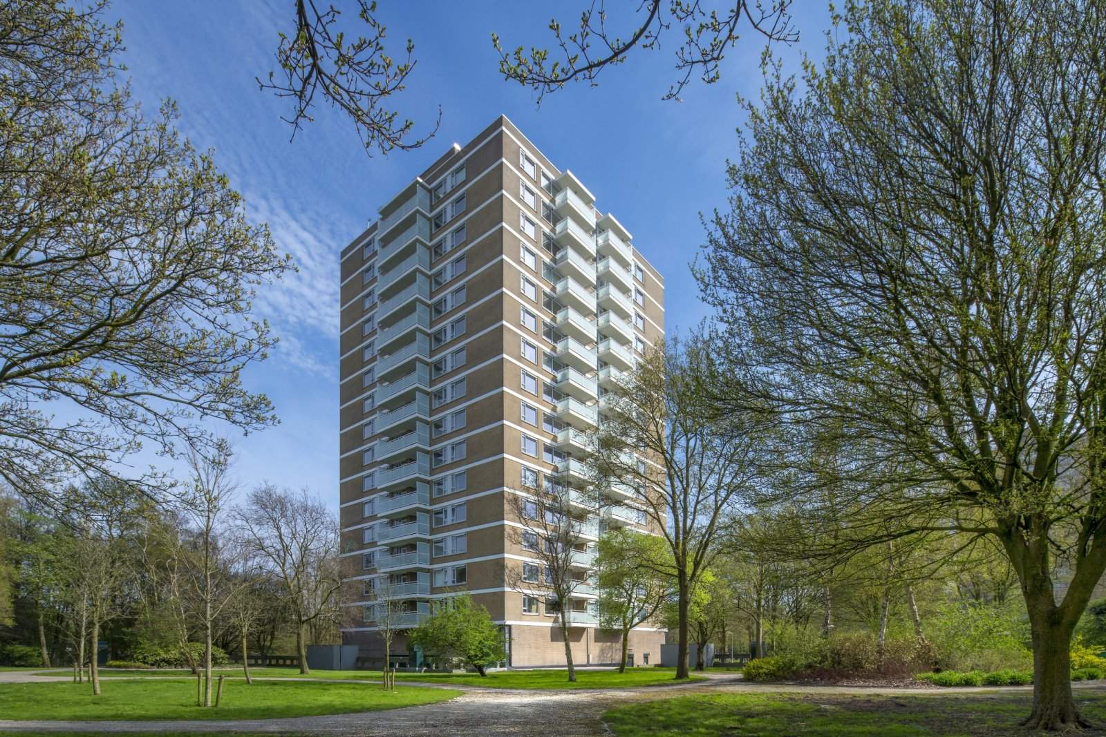 Afbeelding 1 van 3