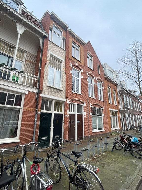 Afbeelding 1 van 12