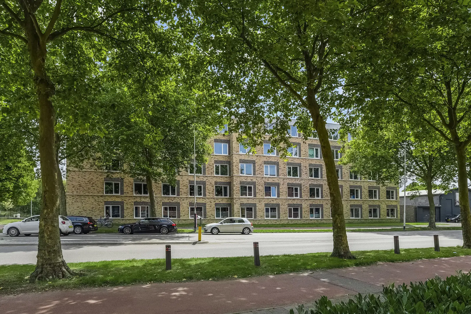 Afbeelding 8 van 8