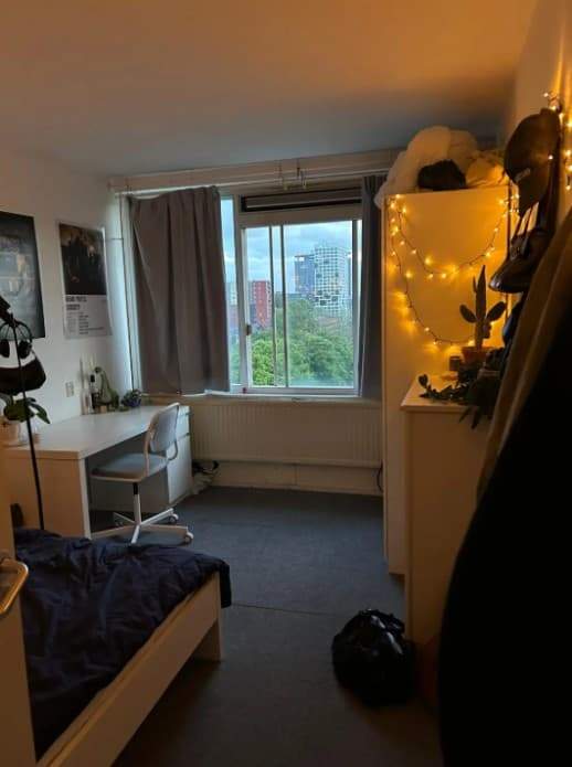 Image 6 of 6