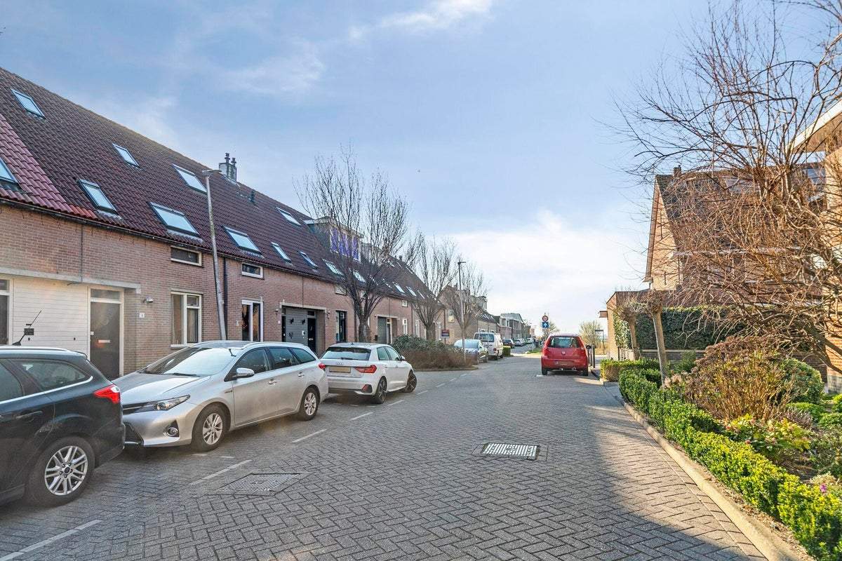 Afbeelding 3 van 40
