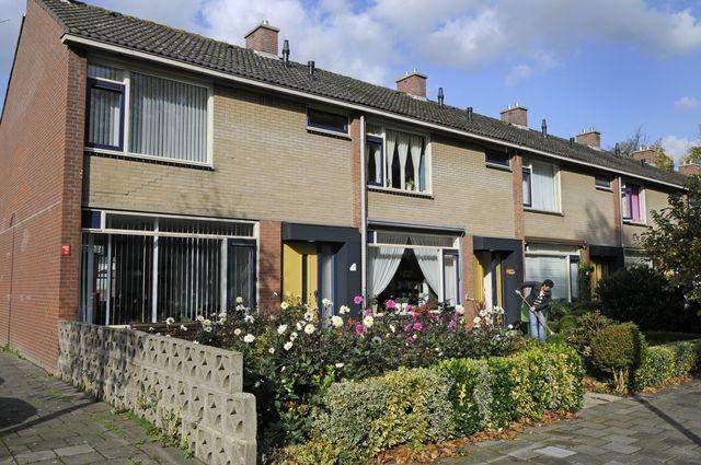 Afbeelding 1 van 7