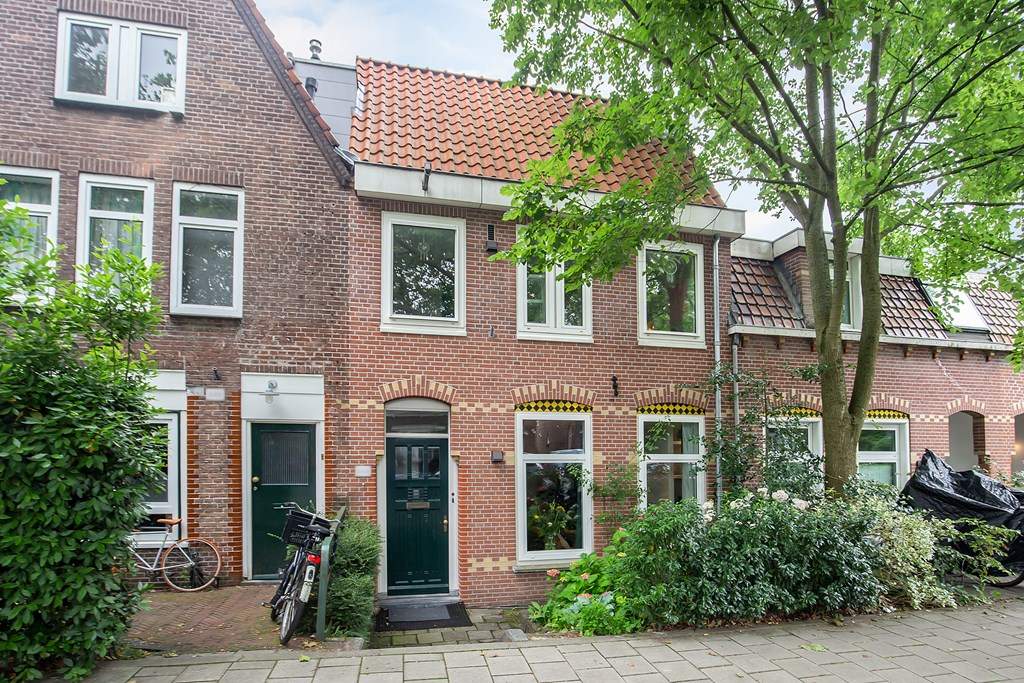 Afbeelding 1 van 41