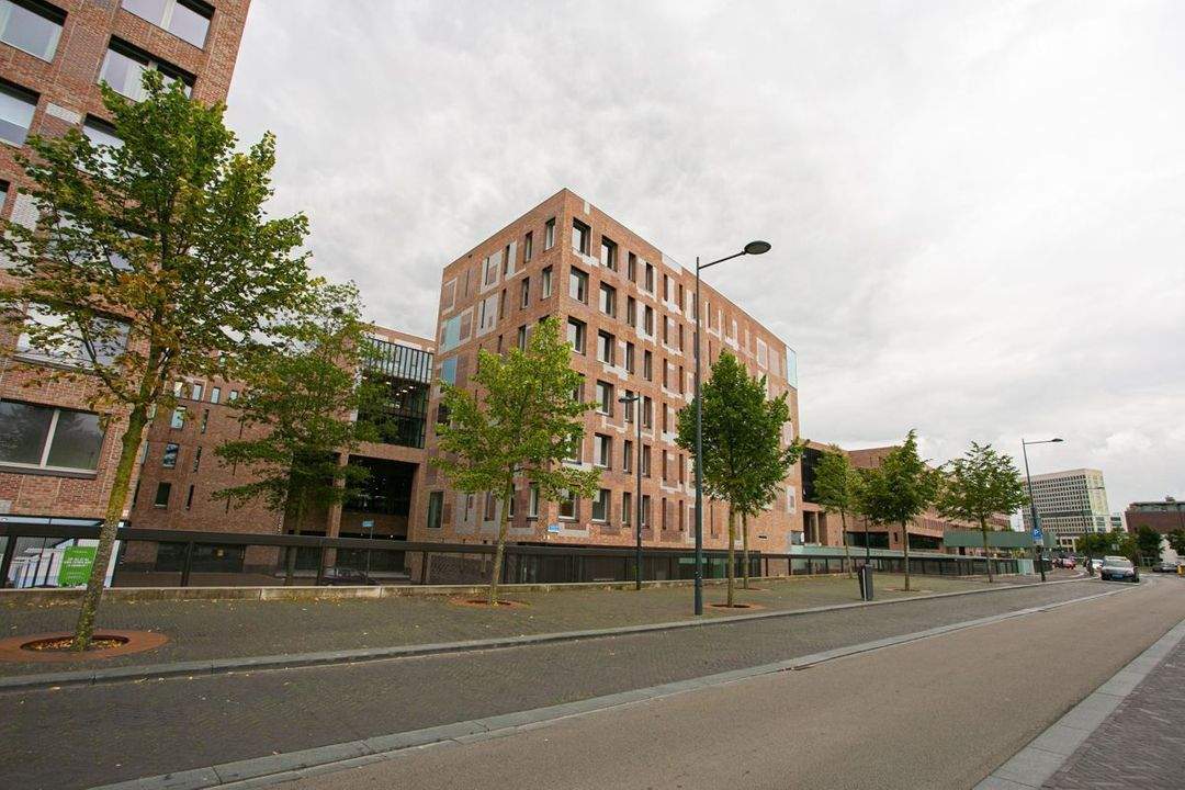 Bild 1 von 13