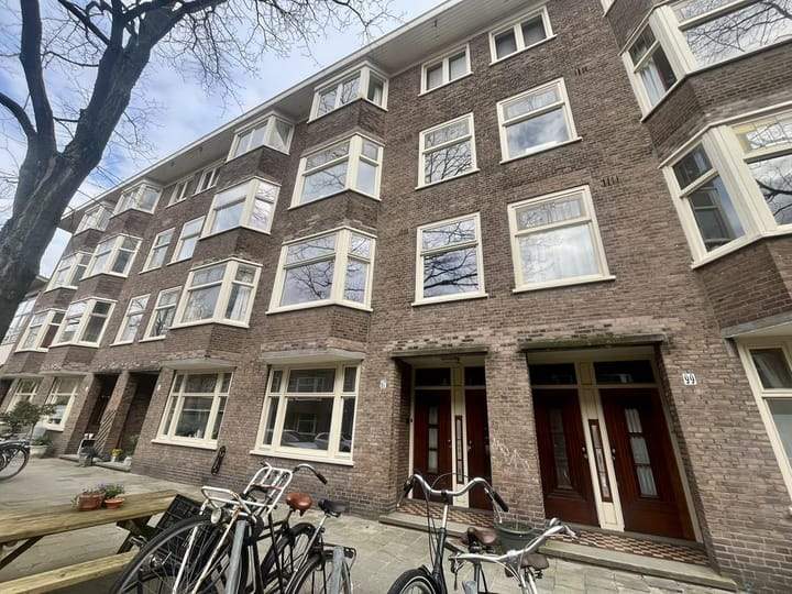 Afbeelding 1 van 13
