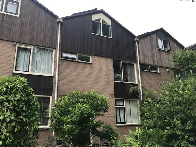 Afbeelding 1 van 12