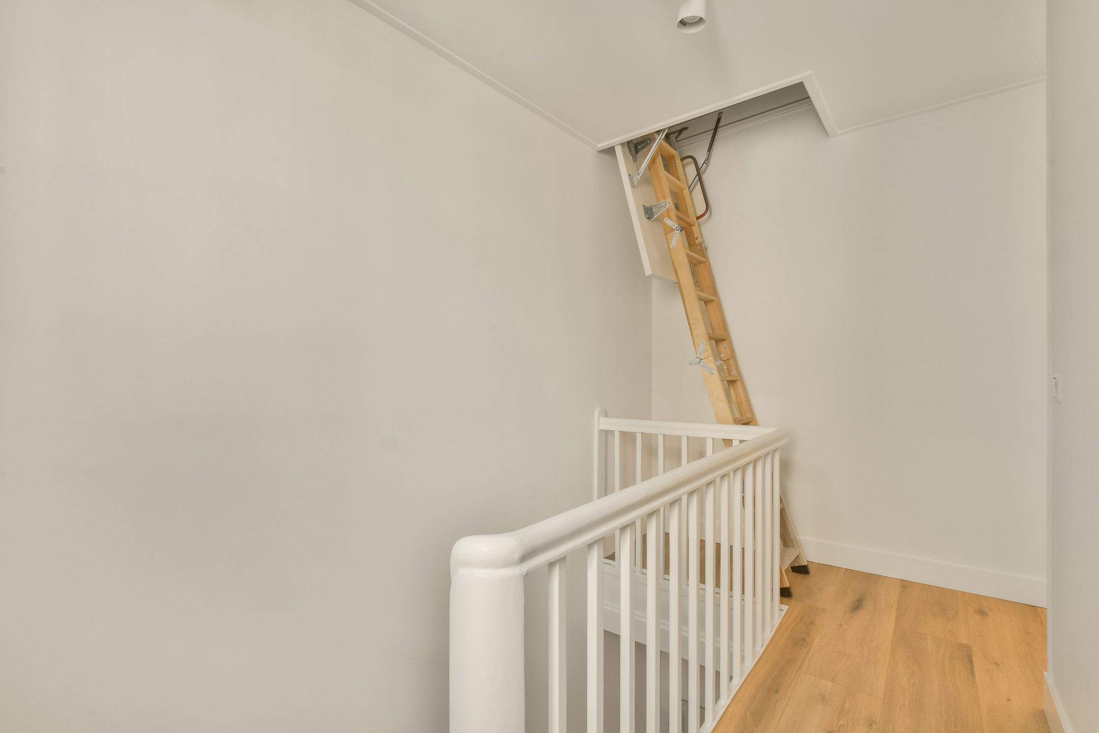 Bild 33 von 40
