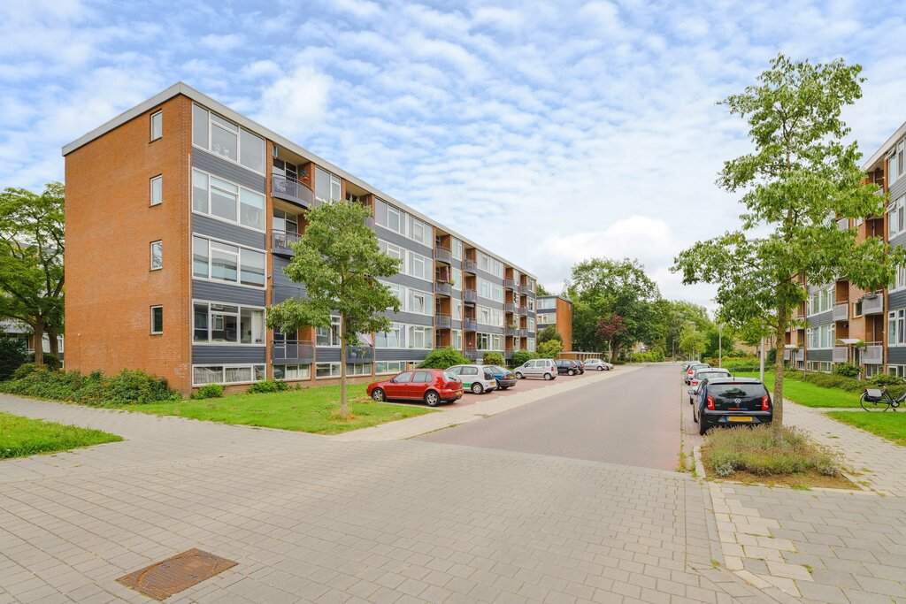 Bild 1 von 12
