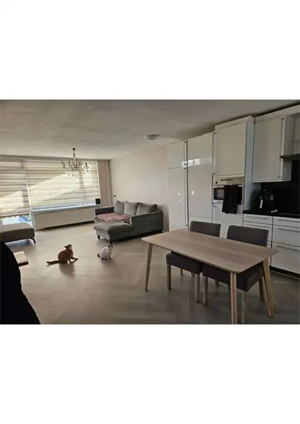 Image 2 of 8