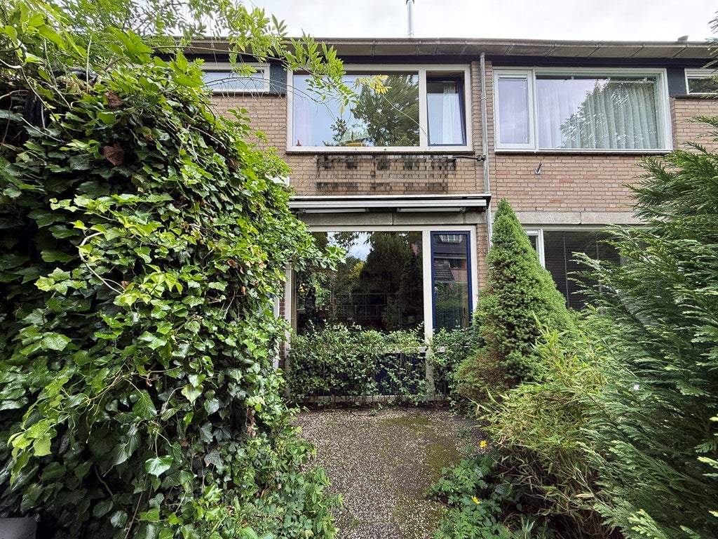 Afbeelding 1 van 20