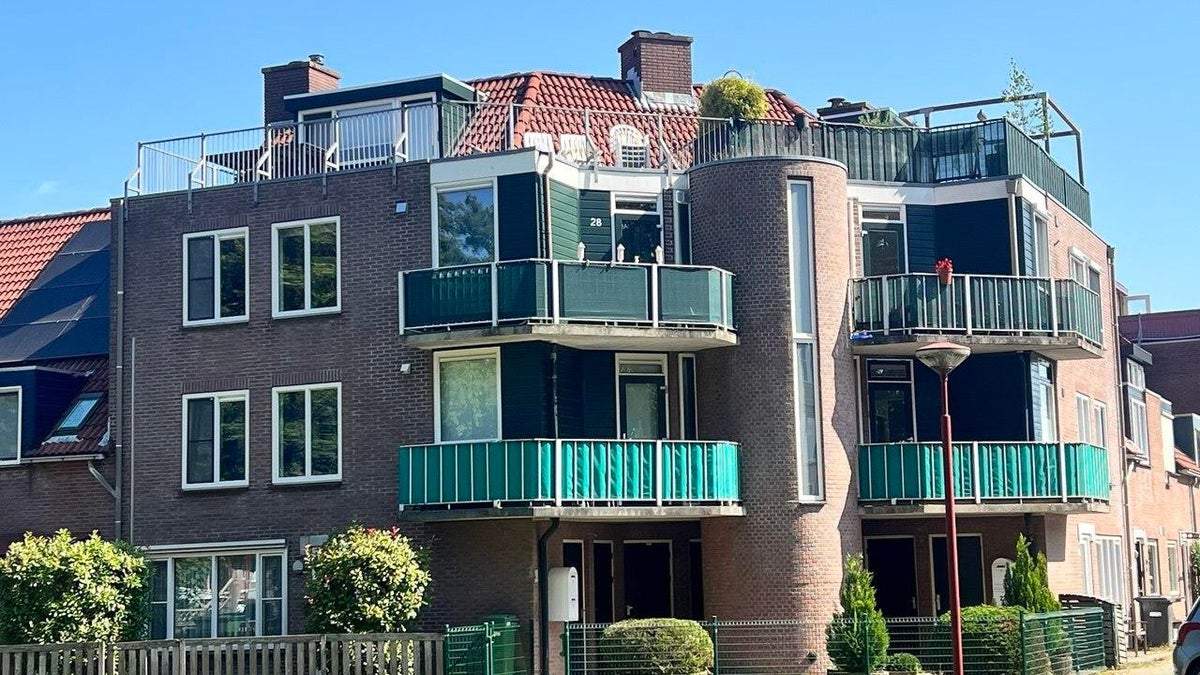 Afbeelding 3 van 21