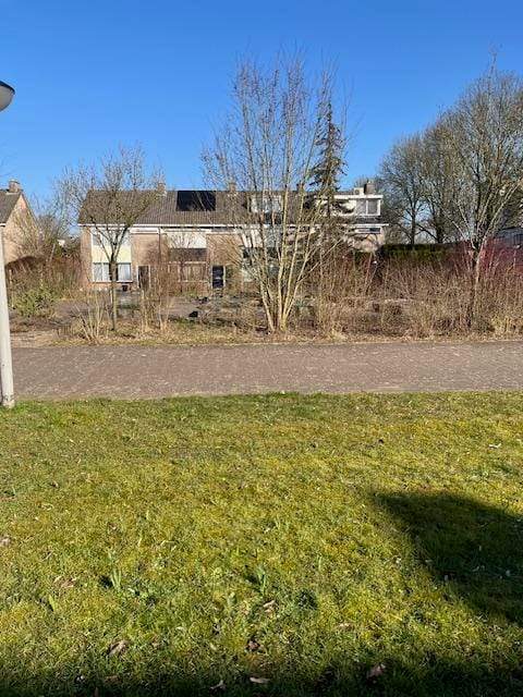 Bild 1 von 12