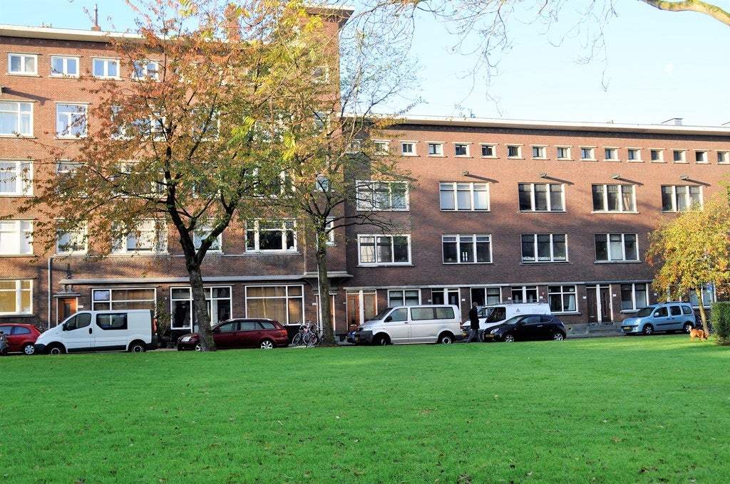 Afbeelding 1 van 13