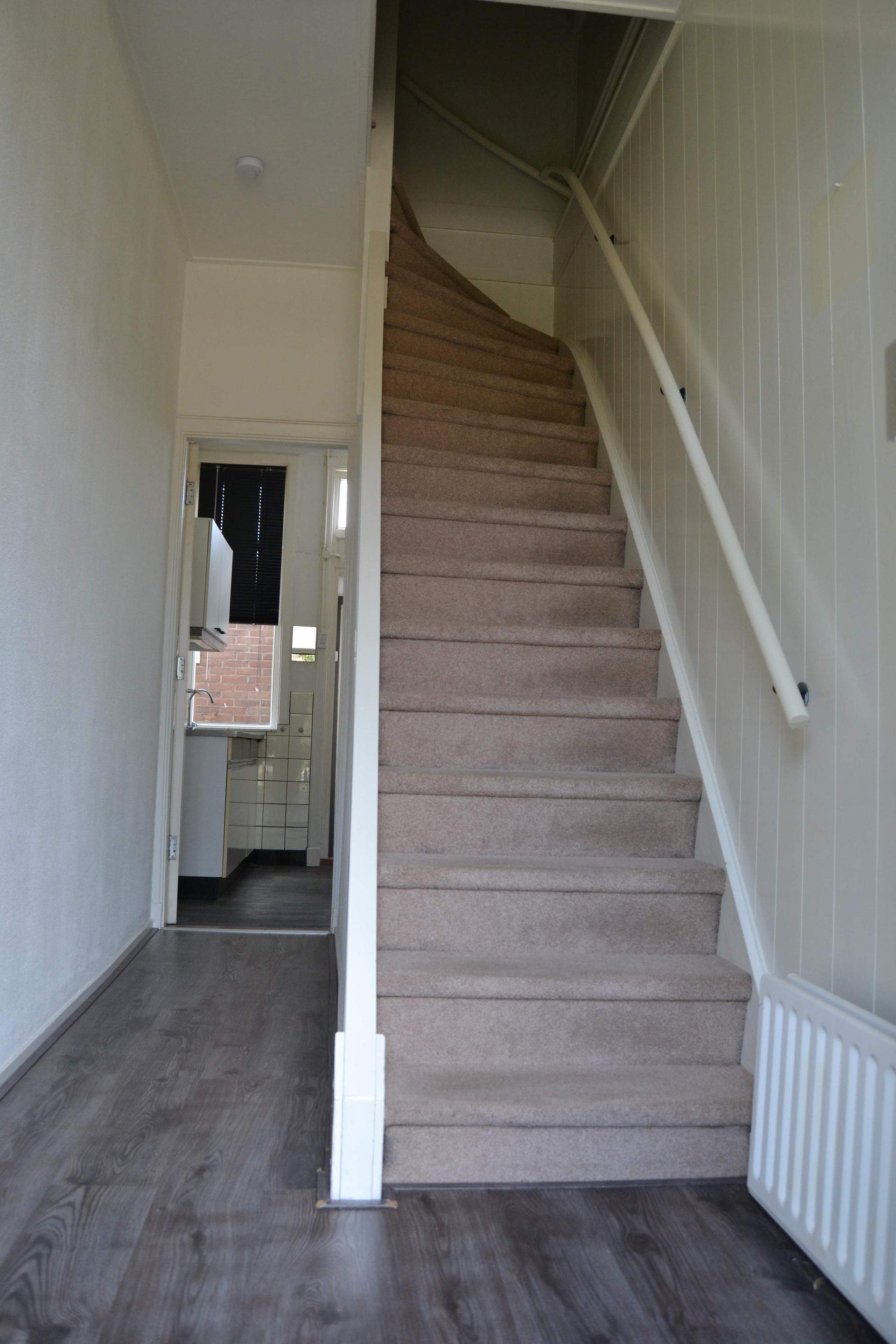 Bild 3 von 10