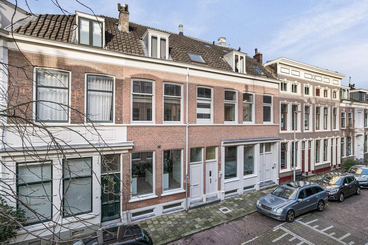 Afbeelding 3 van 47