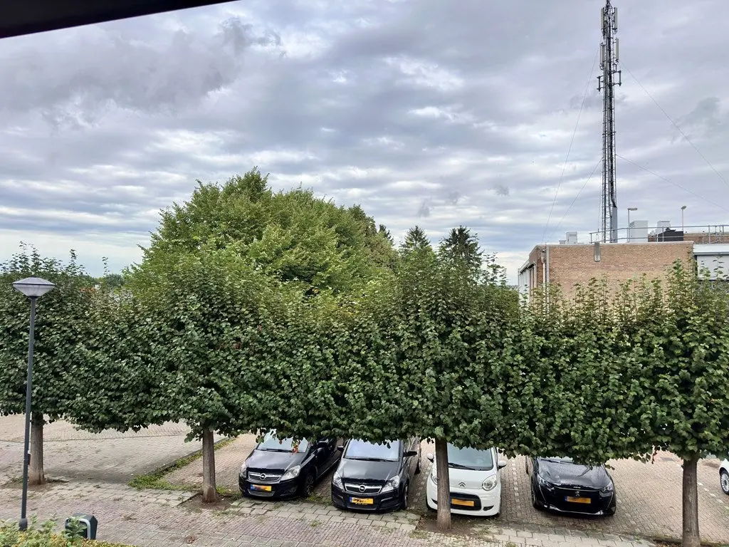 Image 17 of 27