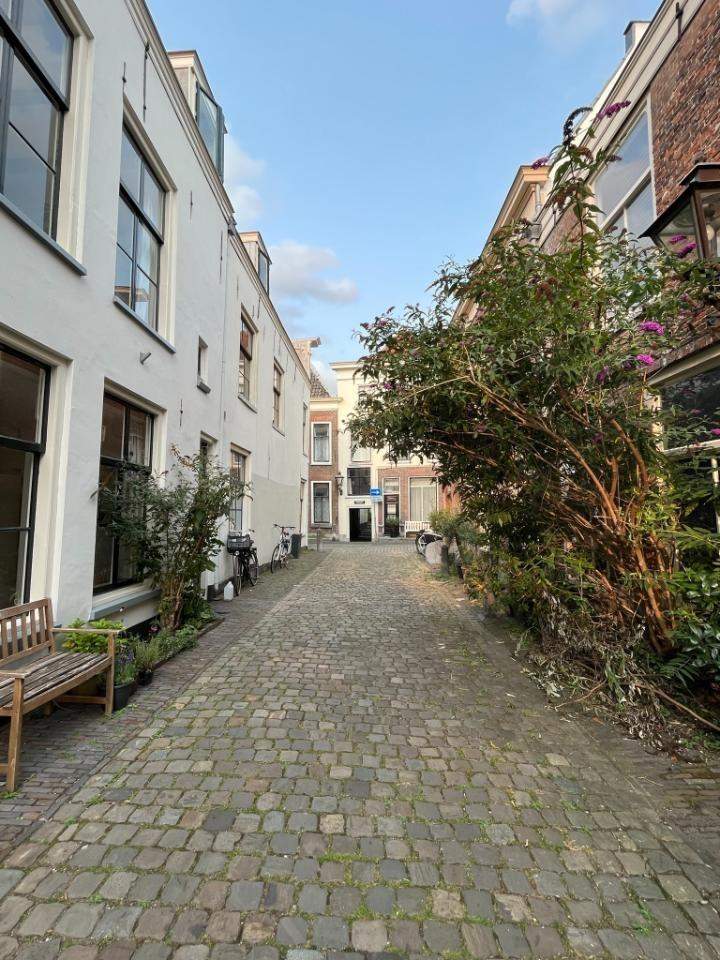 Afbeelding 1 van 10