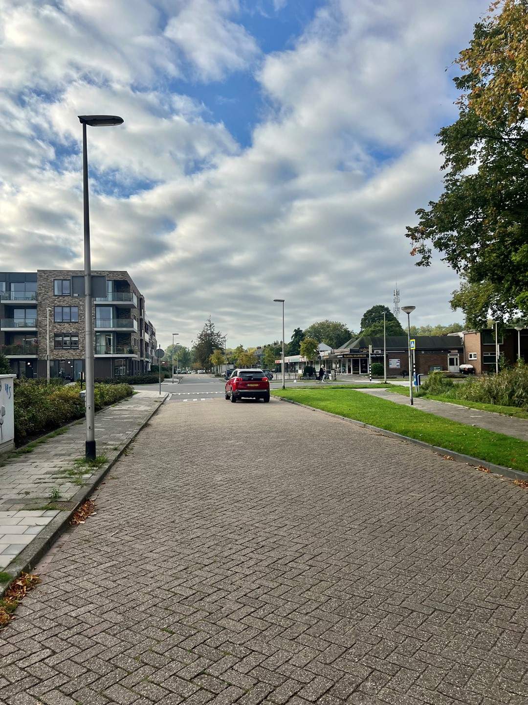 Afbeelding 3 van 17