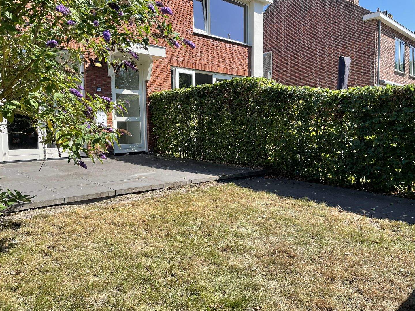 Afbeelding 3 van 12