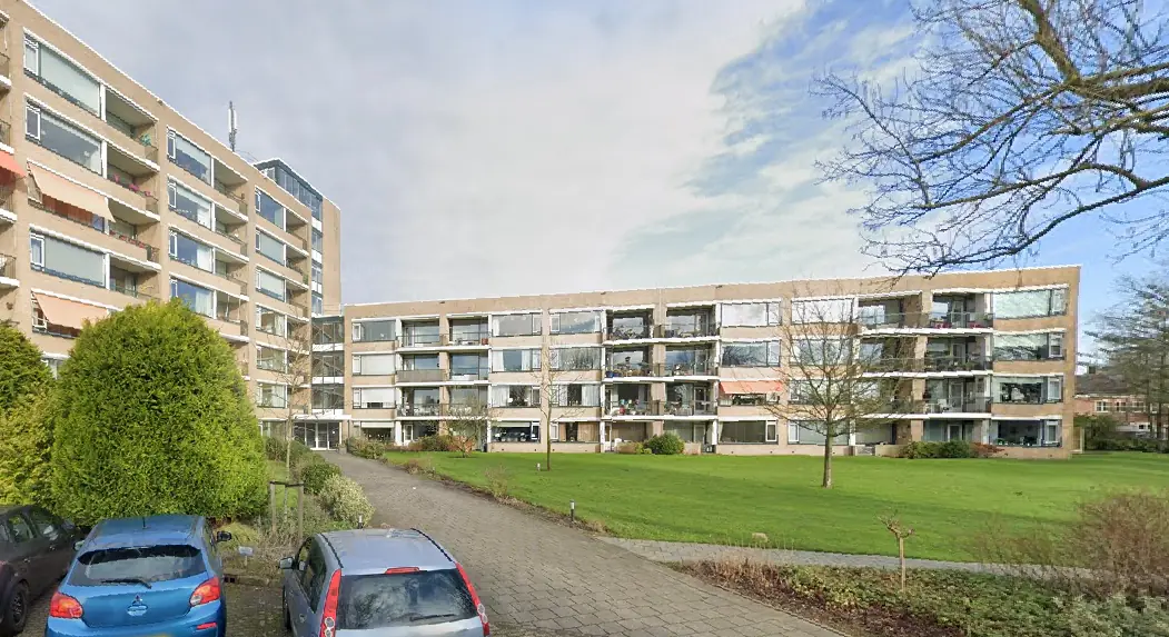 Afbeelding 1 van 1