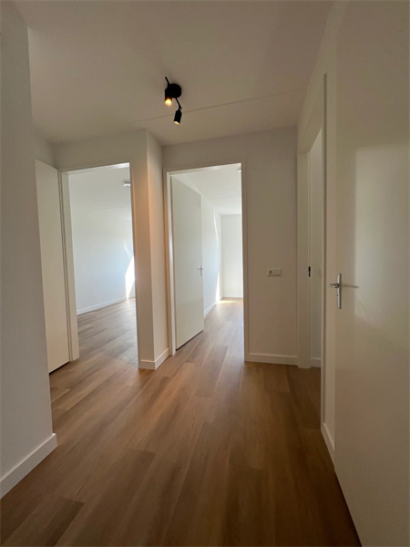 Bild 14 von 25