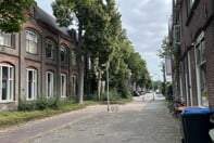 Afbeelding 3 van 3