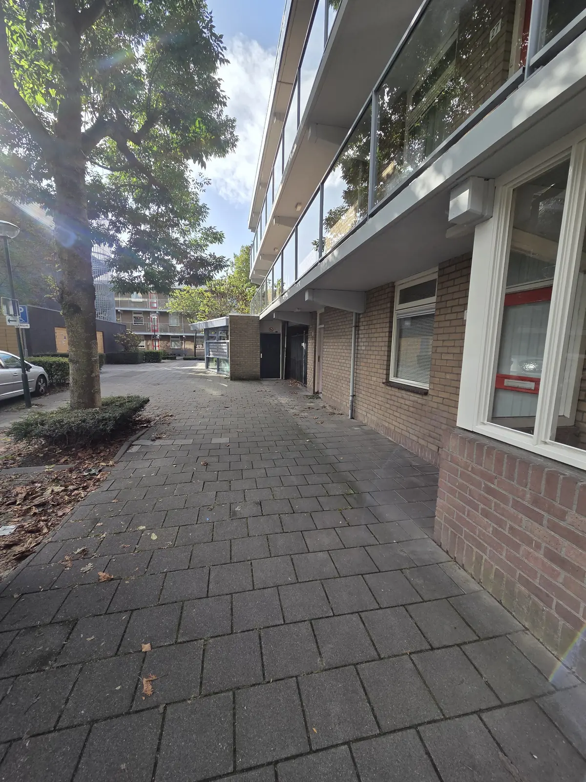 Afbeelding 12 van 15
