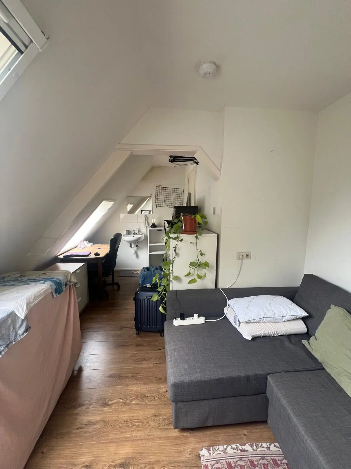 Bild 14 von 16