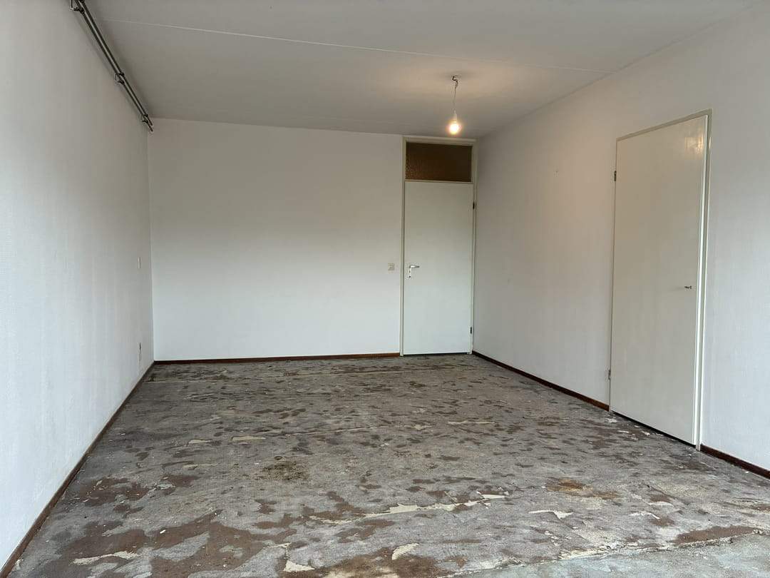 Bild 7 von 14