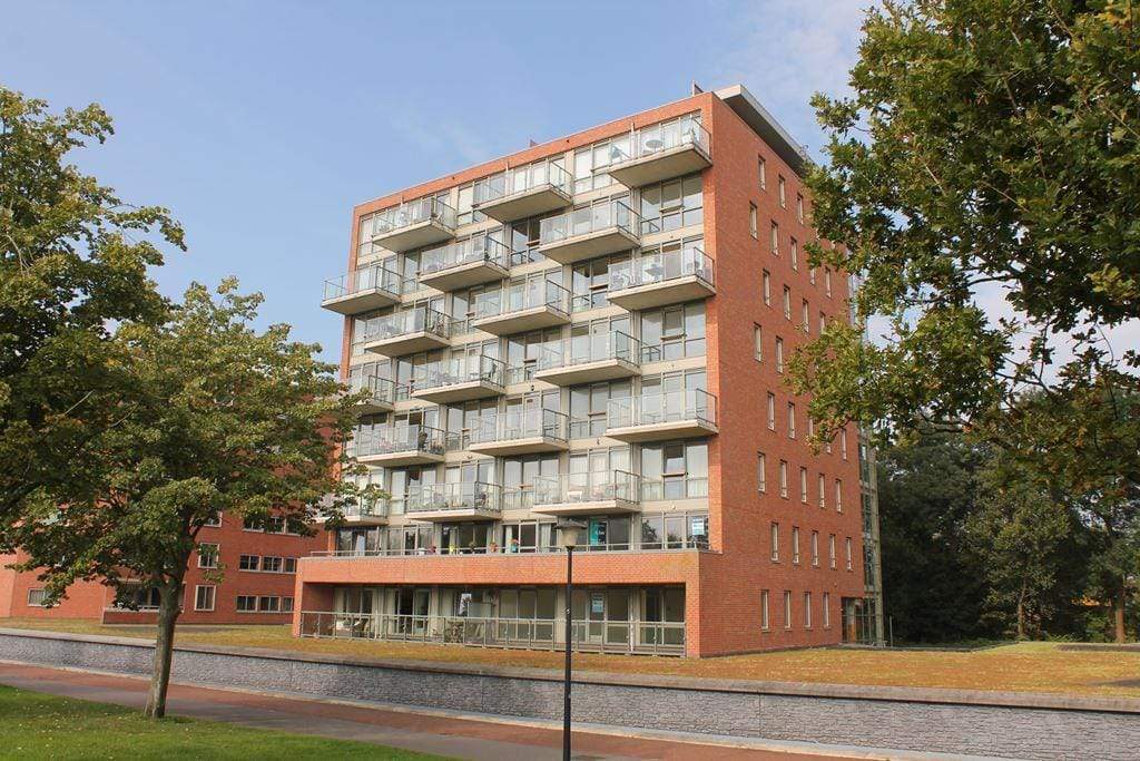 Afbeelding 1 van 12