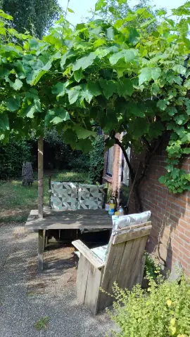 Furnished Room for Rent, Tulpstraat, Enschede