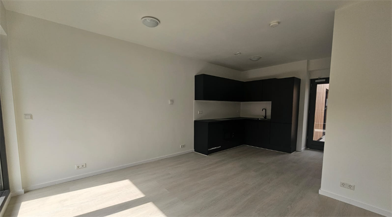 Image 3 of 14