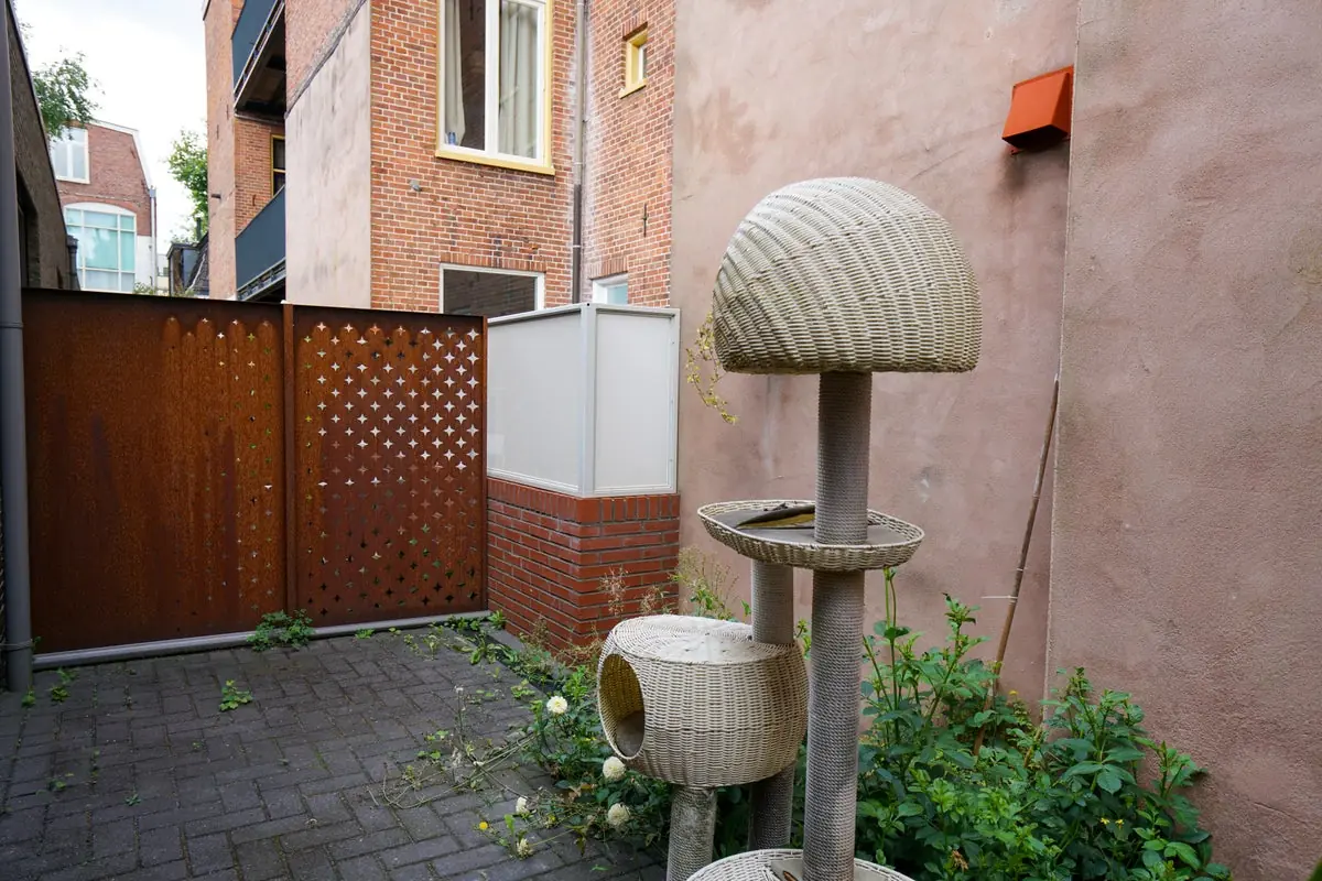 Image 13 of 24