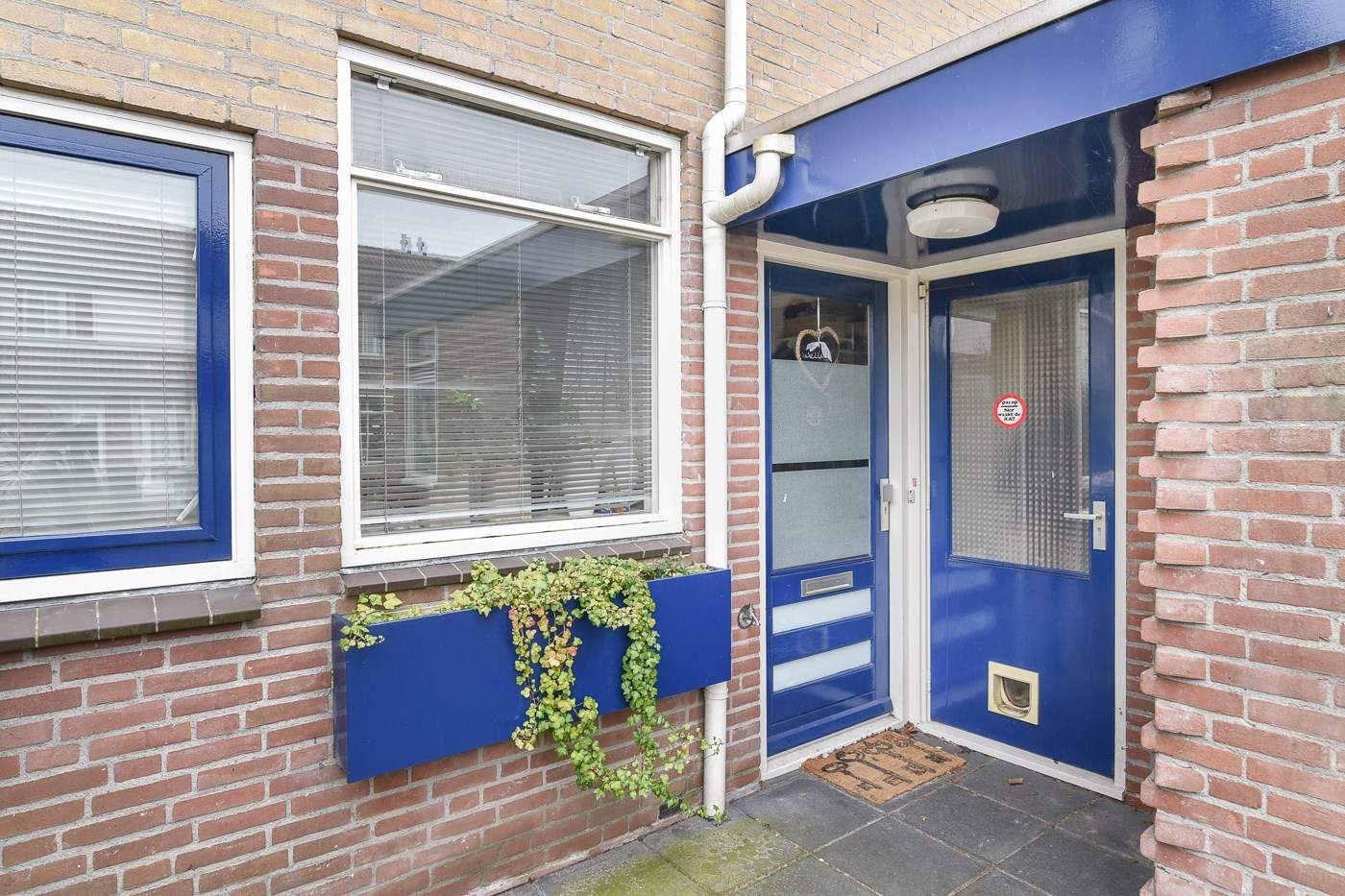Afbeelding 2 van 12