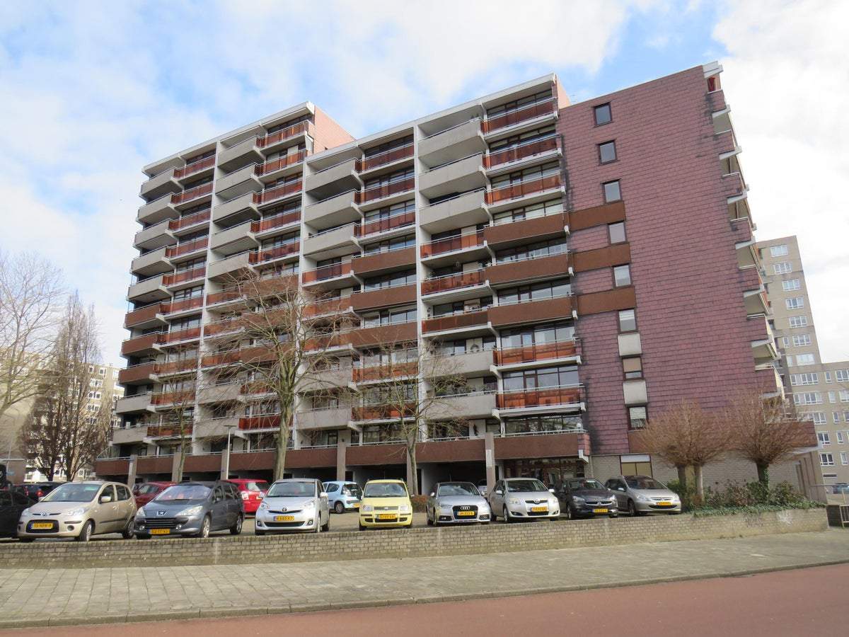 Afbeelding 3 van 17