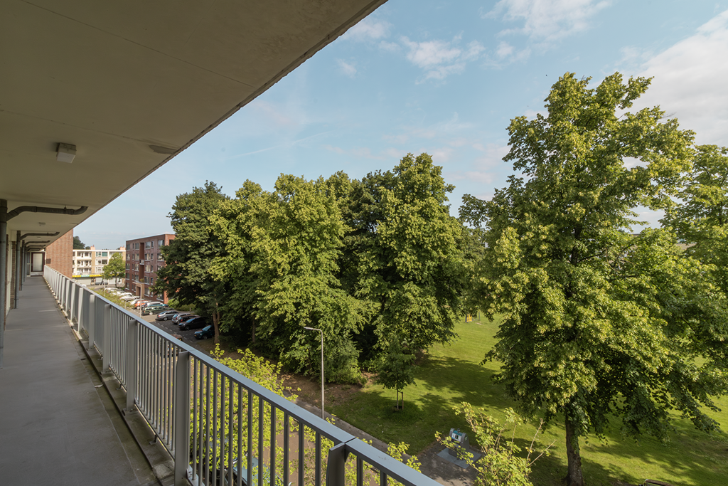 Bild 2 von 25