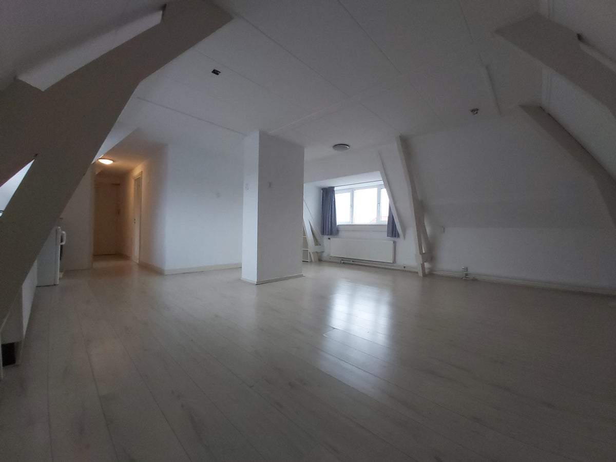 Bild 3 von 14