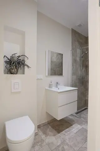 Maison de Ville Rénovée Van Wesenbekestraat, La Haye - À Louer