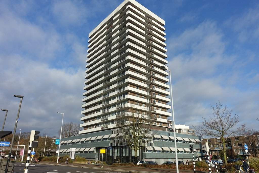 Image 1 of 12