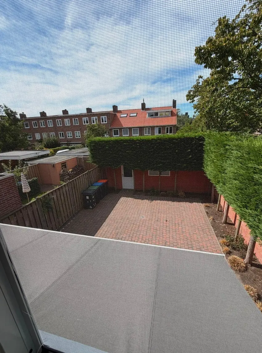 Image 14 of 19