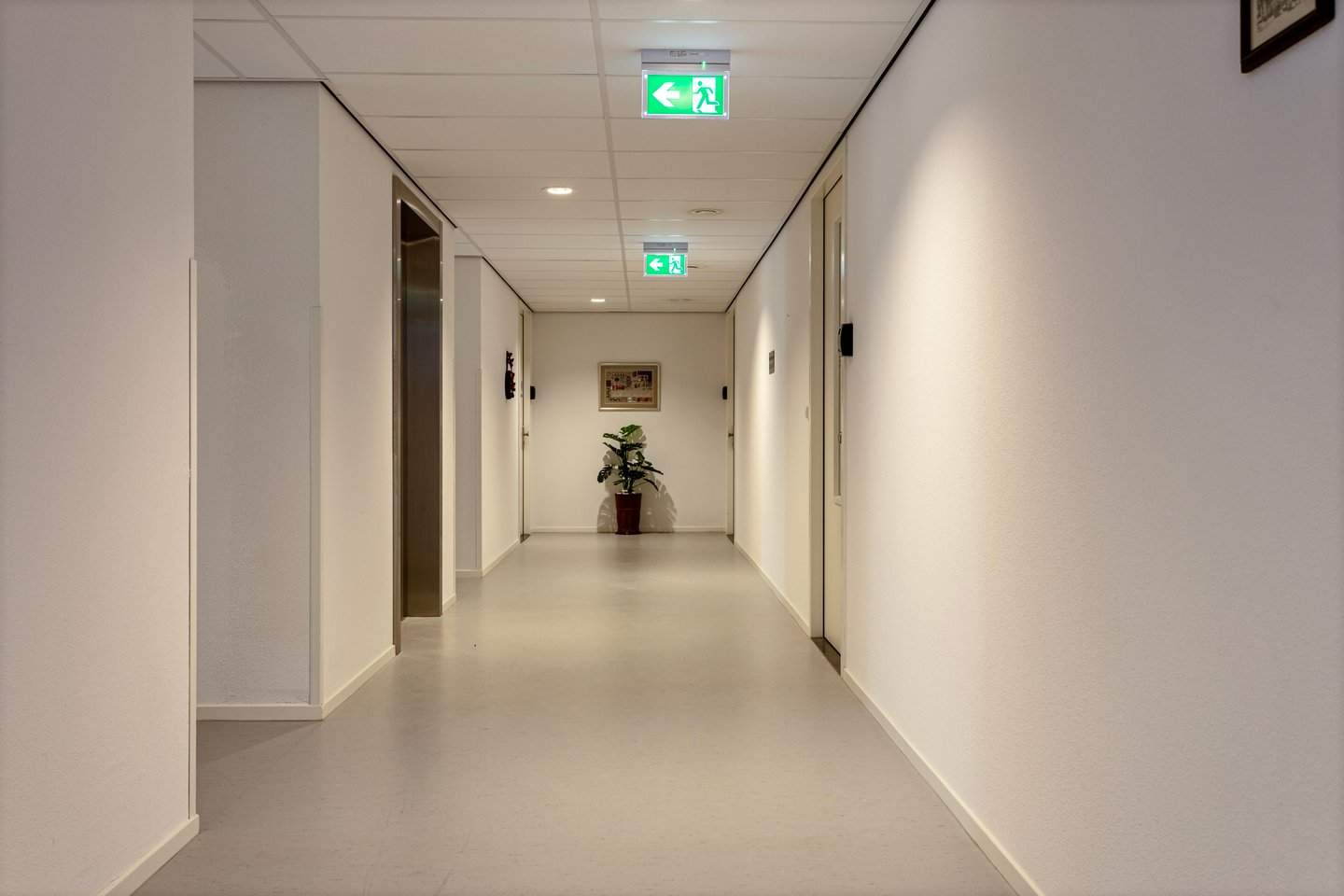 Bild 5 von 12