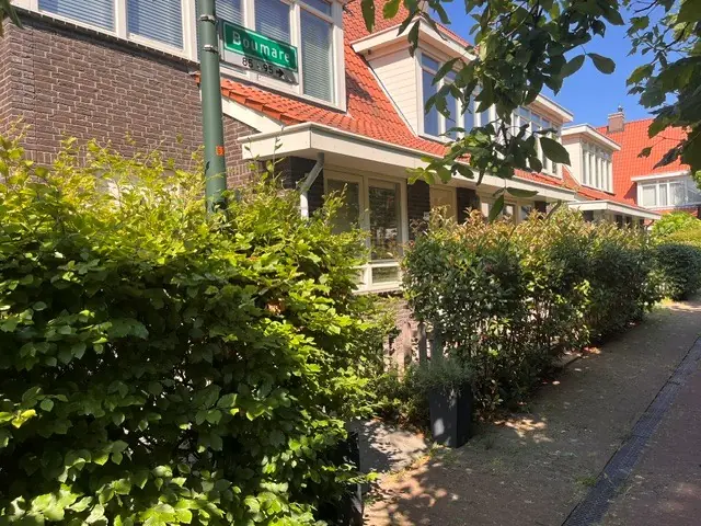 Afbeelding 2 van 20