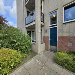 Afbeelding 3 van 7
