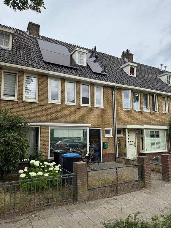 Afbeelding 1 van 16