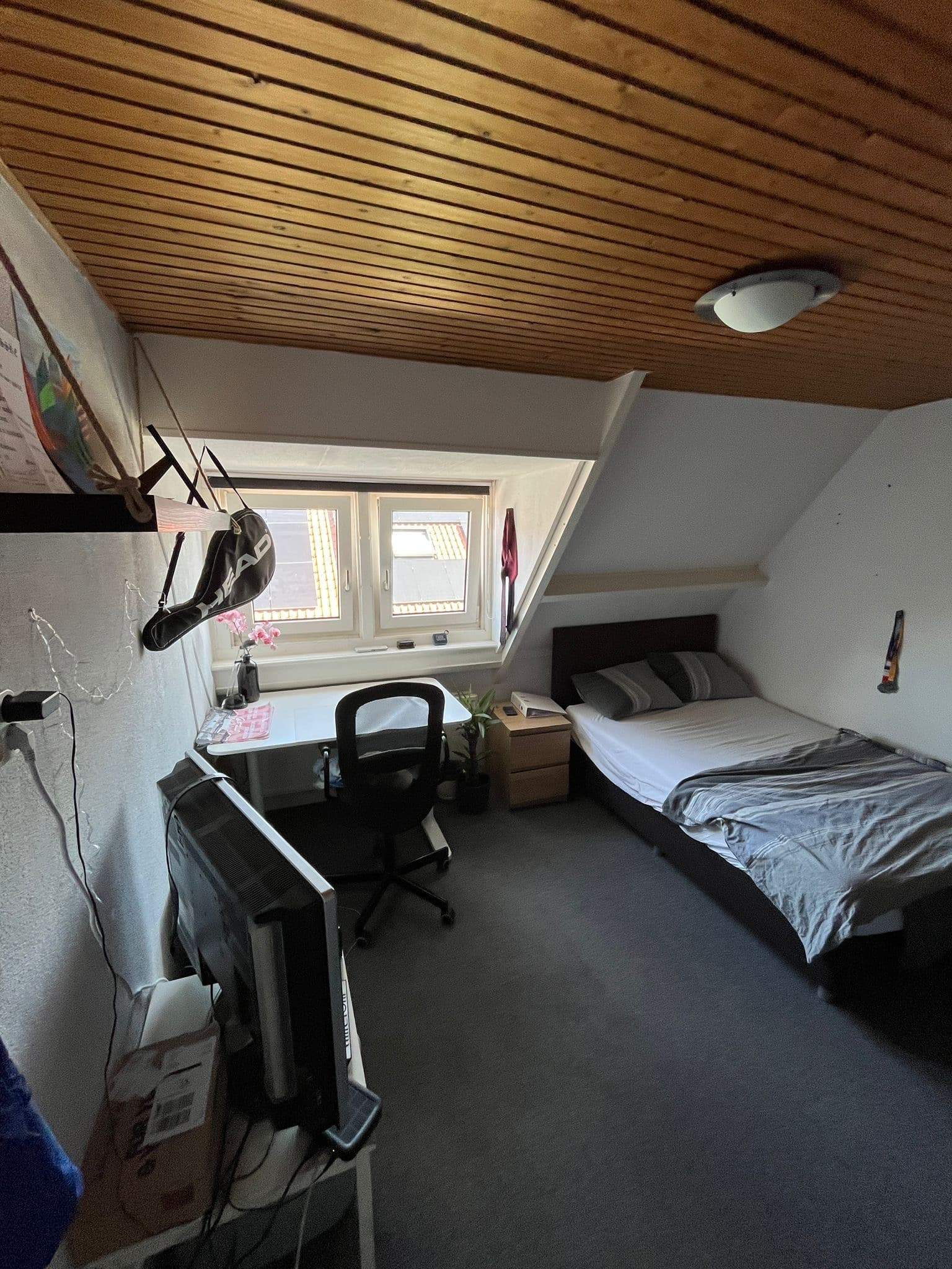 Bild 2 von 4