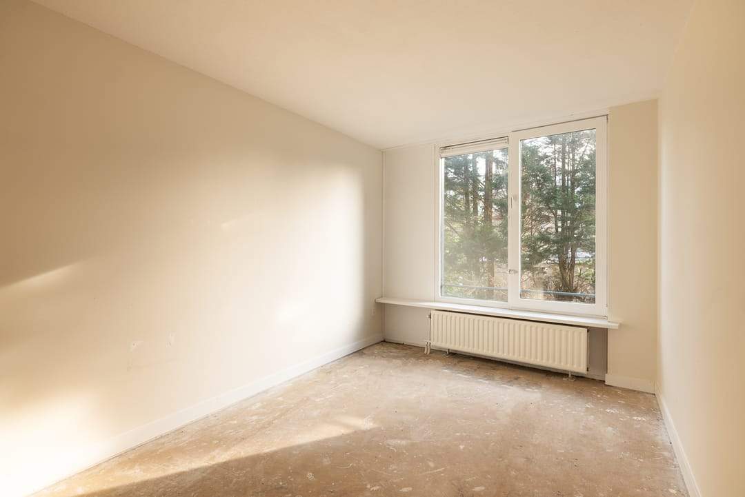 Bild 11 von 15